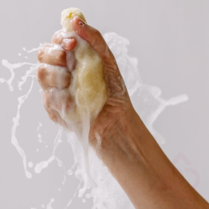 Esponja Natural de Seda – Caixa Presente para Oferecer