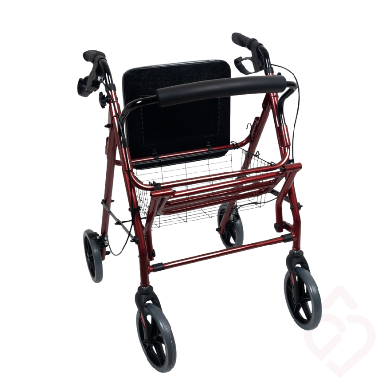 Andarilho 4 Rodas 2 em 1 – Apoio Seguro e Confortável