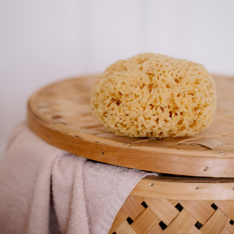 Esponja natural clássica para banho e higiene corporal