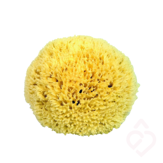 Esponja natural clássica para banho e higiene corporal