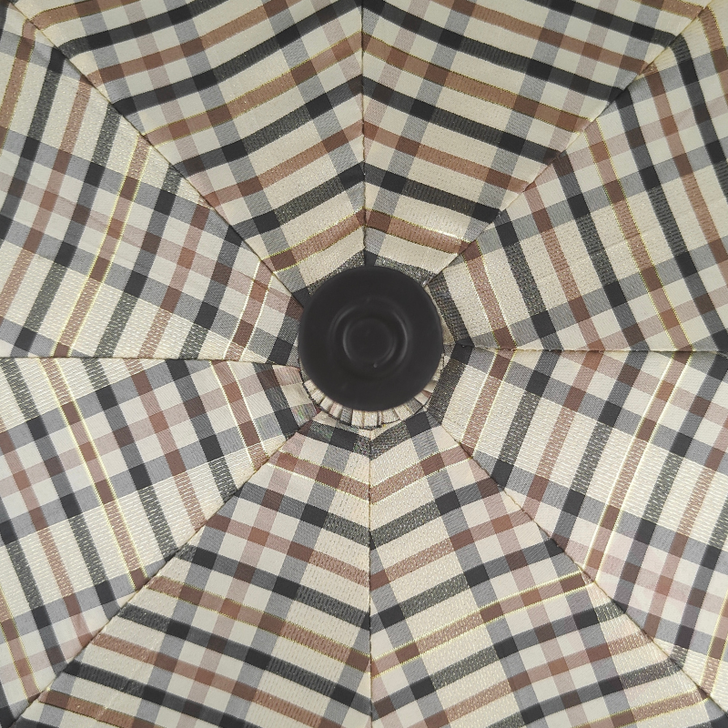 Interior da bengala com chapéu de chuva padrão xadrez claro