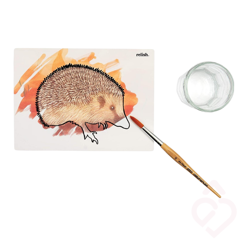 Cartão reutilizável do jogo Aquapaint Maravilhas do Jardim a ser pintado apenas com água para revelar a imagem do ouriço-cacheiro